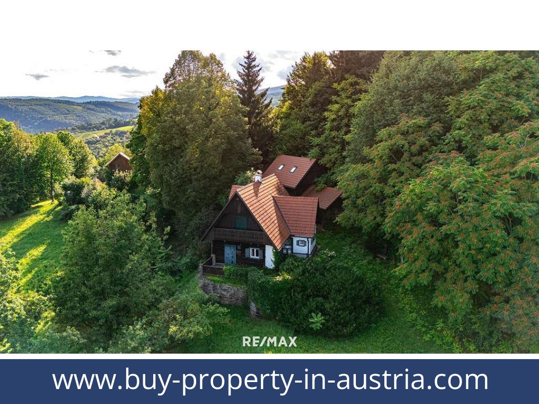 buy-property-in-austria-bad gams-8524-20251010221816-0032401003.jpg
